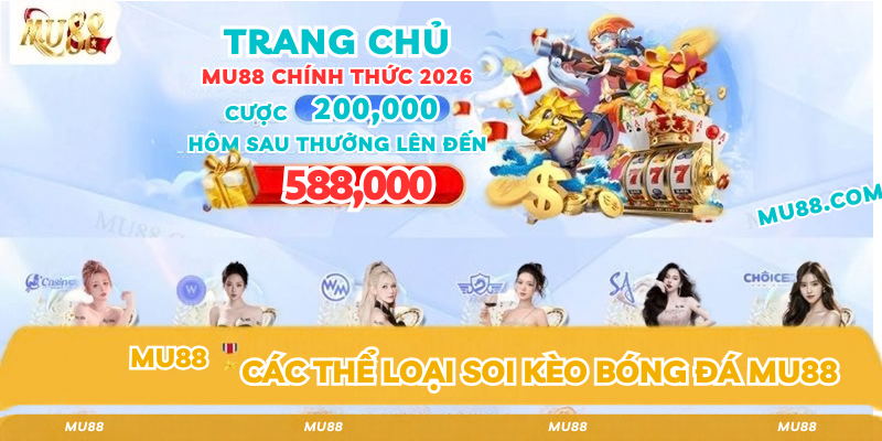 Các thể loại soi kèo bóng đá